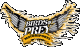 birdsofpreymotorsports-logo