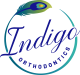 indigo-orthodonticsrgbprimary-logofull-colorjb